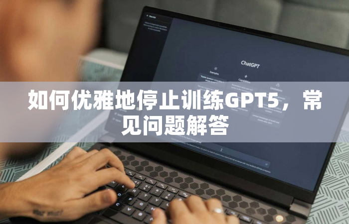 如何优雅地停止训练GPT5，常见问题解答