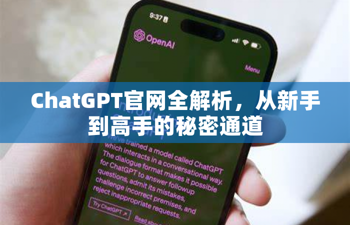 ChatGPT官网全解析，从新手到高手的秘密通道