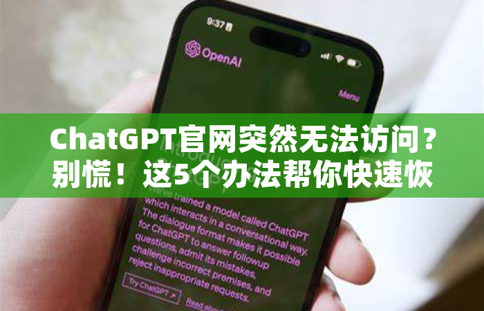 ChatGPT官网突然无法访问？别慌！这5个办法帮你快速恢复使用