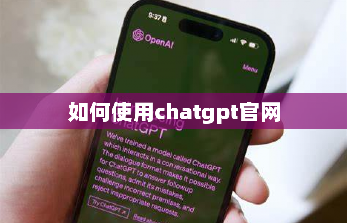 如何使用chatgpt官网