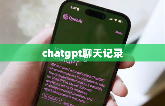 chatgpt聊天记录