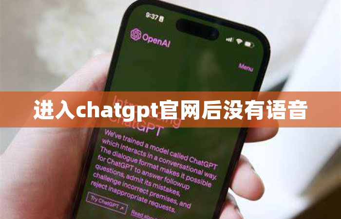进入chatgpt官网后没有语音