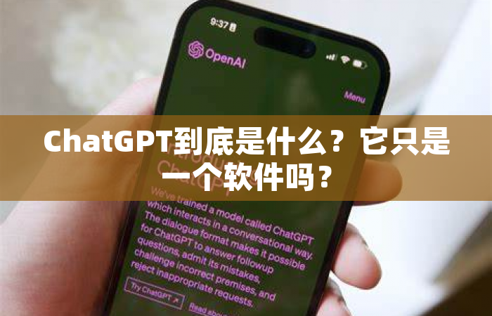 ChatGPT到底是什么？它只是一个软件吗？