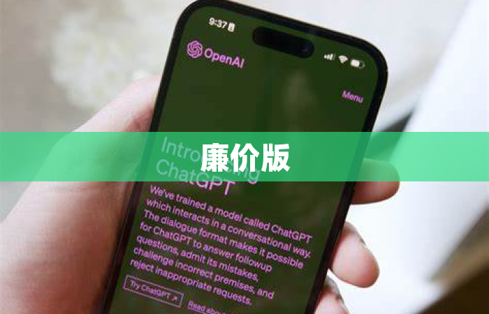 廉价版