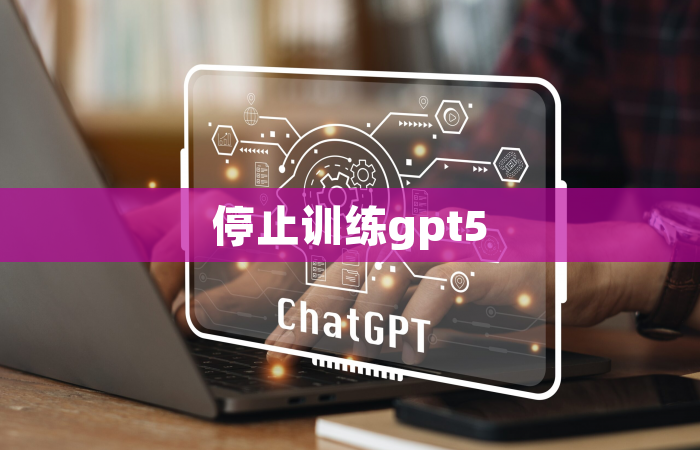 停止训练gpt5