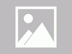 用了 ChatGPT 刚更新的「神器」，我的打工效率提升了 200%