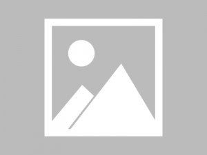 AI最新动态｜ChatGPT plus增加了Bing搜索功能